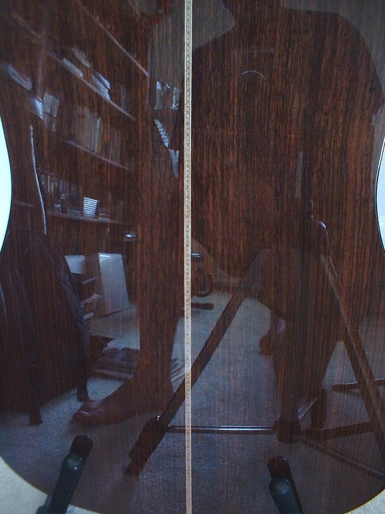 martin 12 string pix 4