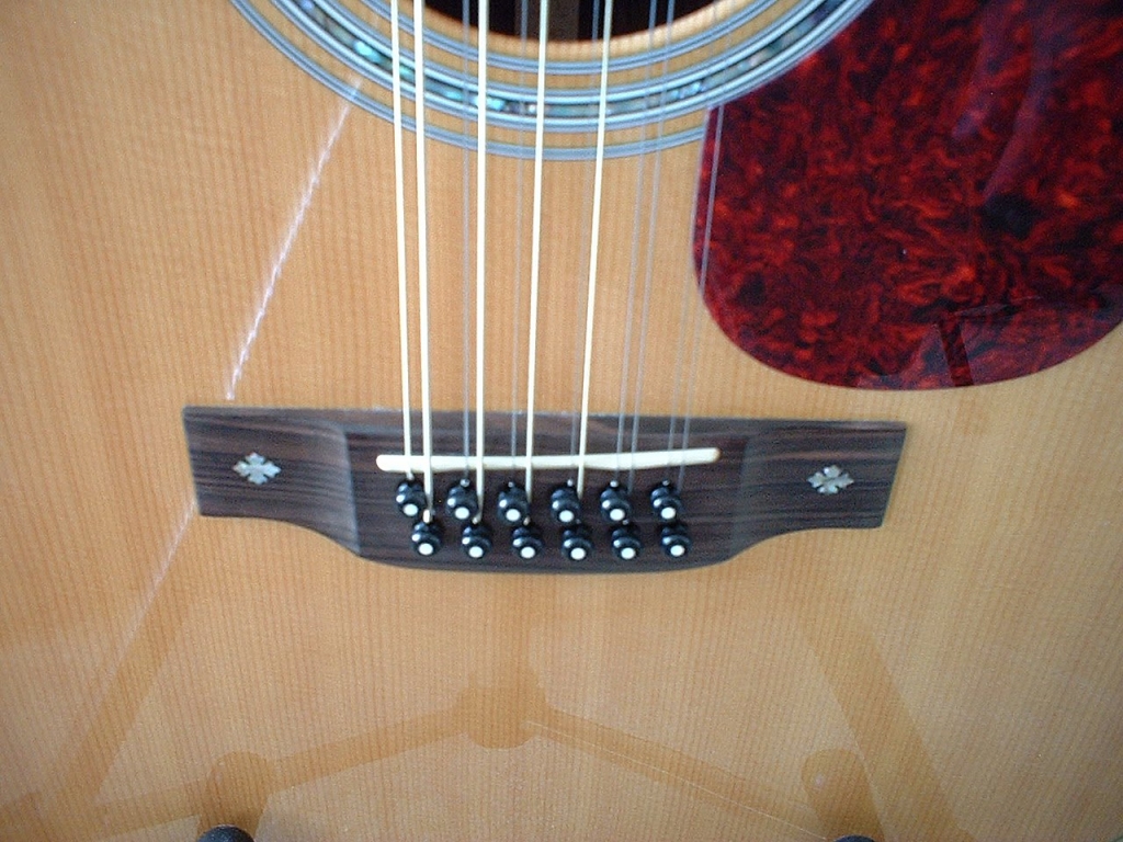 martin 12 string pix 3