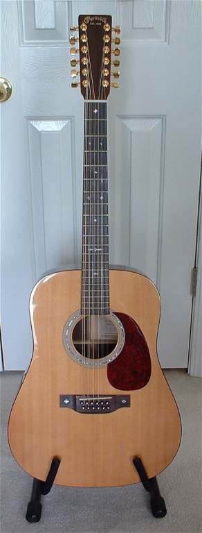 martin 12 string pix 1